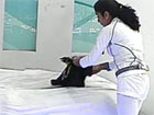 Foto Nota