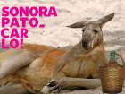Foto Nota