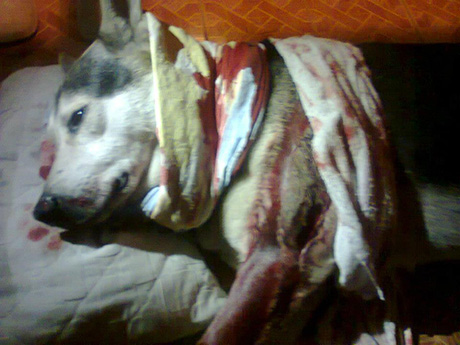 Foto Nota