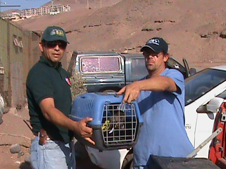 Foto Nota