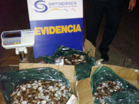 Foto Nota