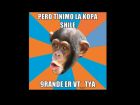 Foto Nota